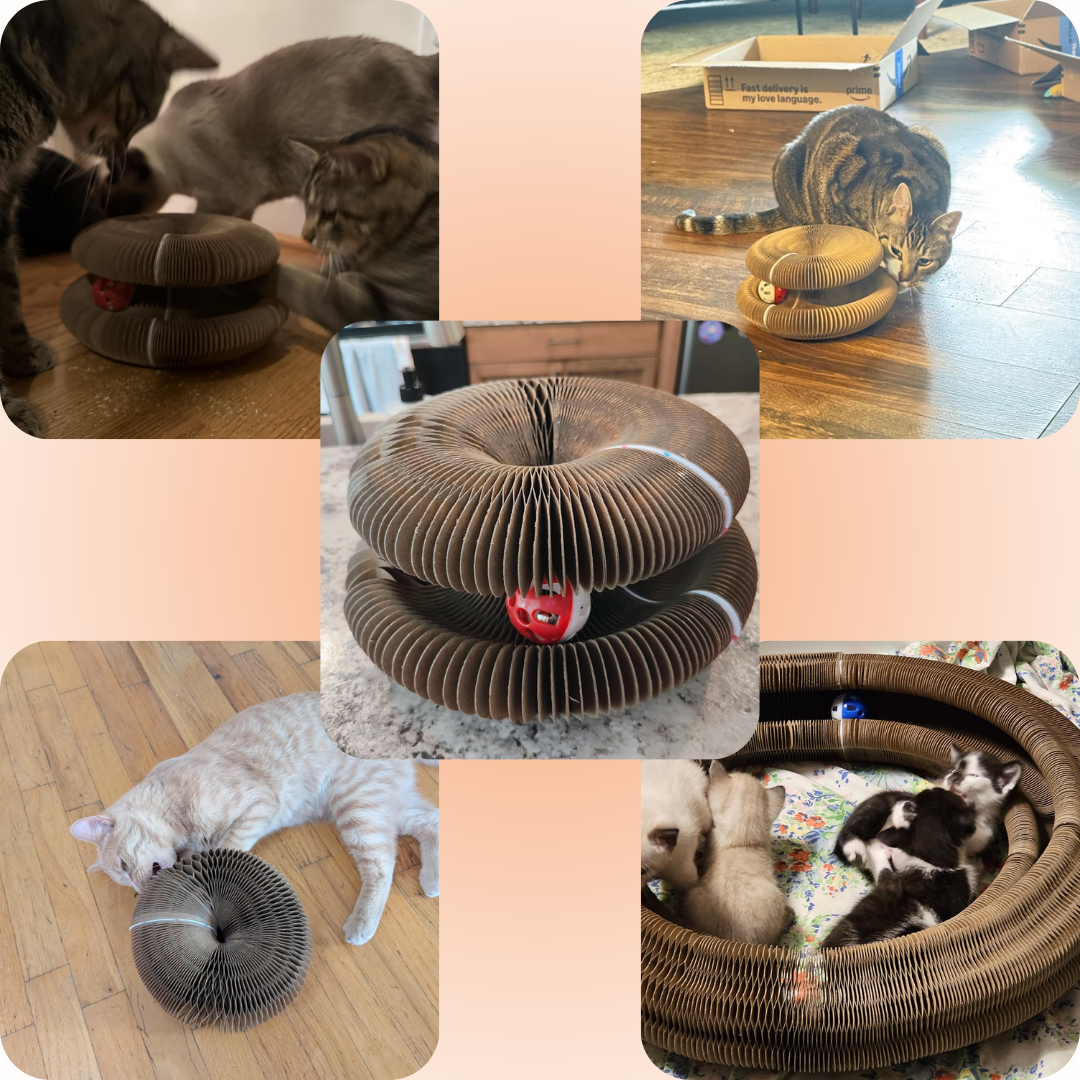CATLOOP™ Rascador Modular EcoPlay